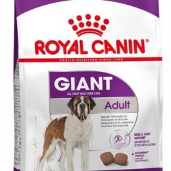 Royal Canin Giant Adult karma sucha dla psów dorosłych, od 18/24 miesiąca życia, ras olbrzymich 15kg-1