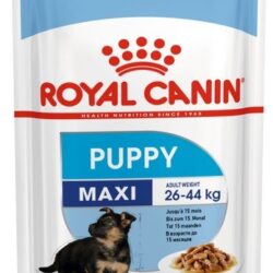 Royal Canin Maxi Puppy karma mokra dla szczeniąt, od 2 do 15 miesiąca życia, ras dużych saszetka 140g-1