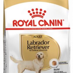 Royal Canin Labrador Retriever Adult karma sucha dla psów dorosłych rasy labrador retriever 12kg-1