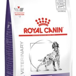 Royal Canin Veterinary Diet Canine Dental Medium & Large Dog 13kg-1