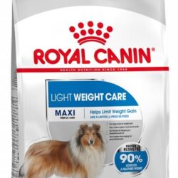 Royal Canin Maxi Light Weight Care karma sucha dla psów dorosłych, ras dużych z tendencją do nadwagi 12kg-1